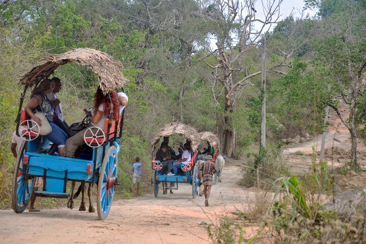 Sigiriya Rock and Village Tour from Habarana - Photo 1 of 10